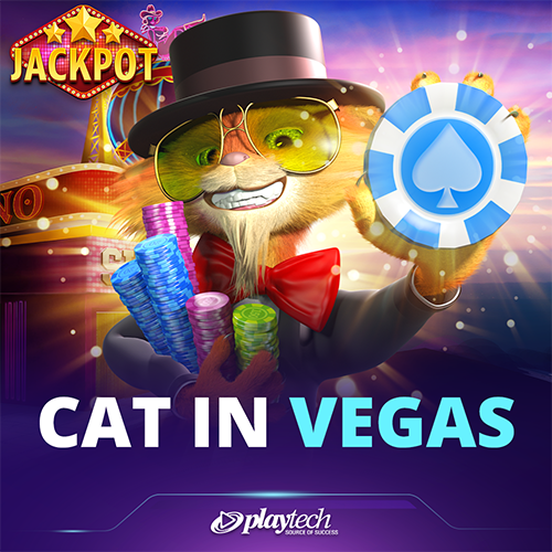 Cat in Vegas